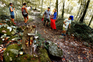 Fairy Doors Trail